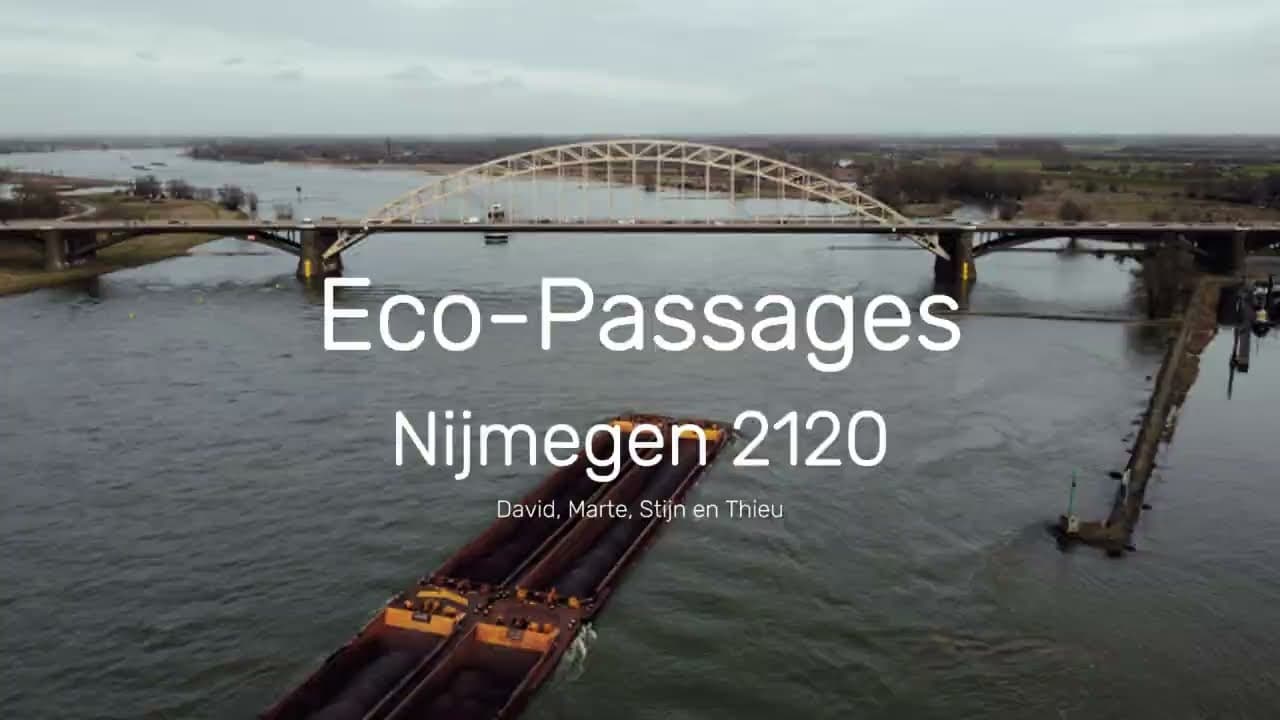 video image